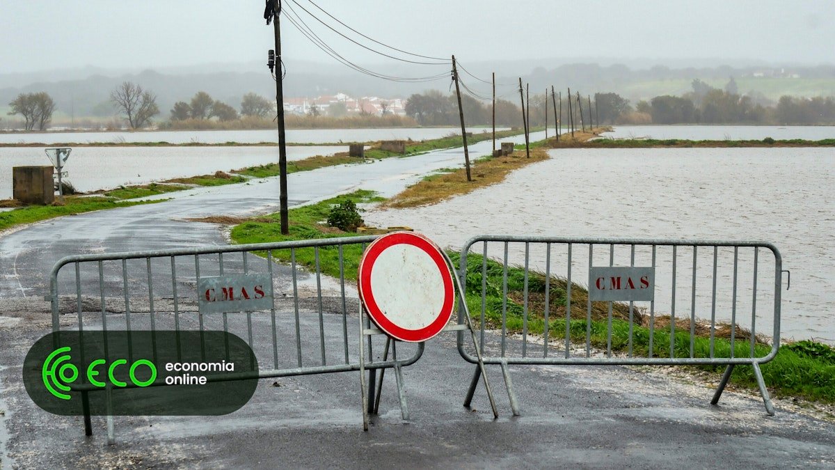 Agricultores temem perder clientes com importações que afetam preços
