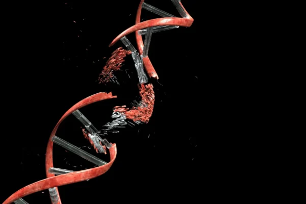 A Regra dos 4x: Por que o DNA de algumas pessoas é mais instável do que o de outras