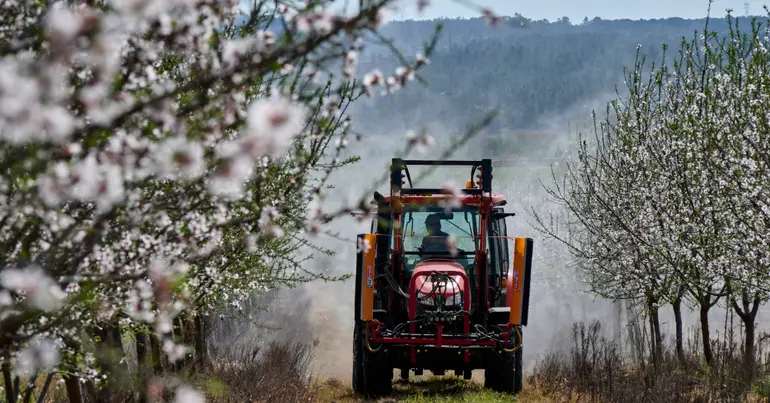 "Urgência nas Medidas de Apoio às Pessoas"