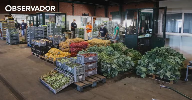Mercado Municipal de Coimbra encerrado ao público
