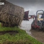 Empresários de Santarém, Leiria e Coimbra solicitam apoios a fundo perdido