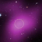 Este aminoácido natural pode ajudar a evitar cáries antes que elas comecem