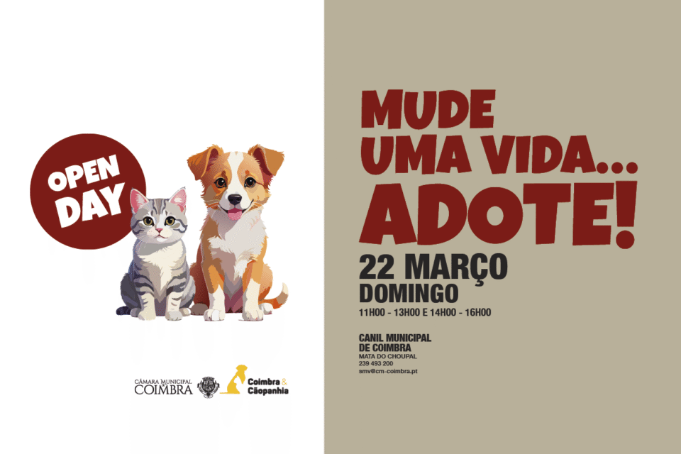 Canil Municipal realiza dia aberto com adoção gratuita de animais neste domingo