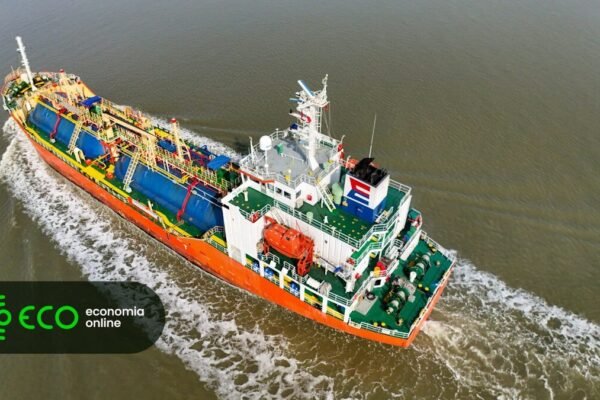 Imported Article – 2026-03-26 11:00:14
