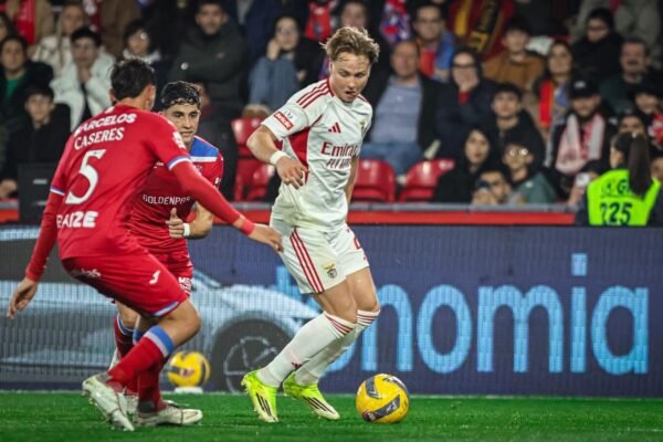Cinco Destaques do Jogo Gil Vicente vs Benfica