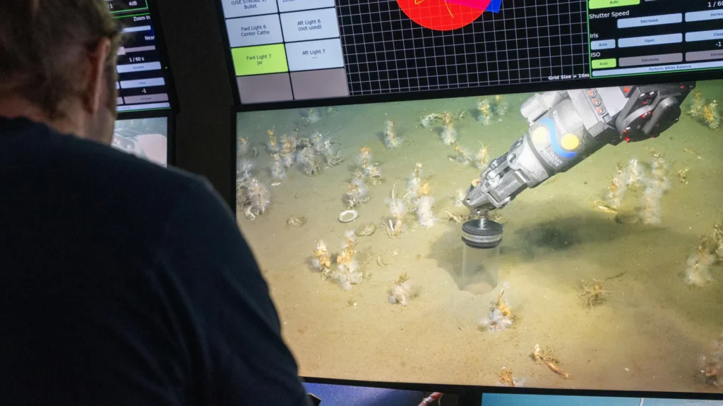 Cientistas descobrem ancestral amante de oxigênio de toda a vida complexa