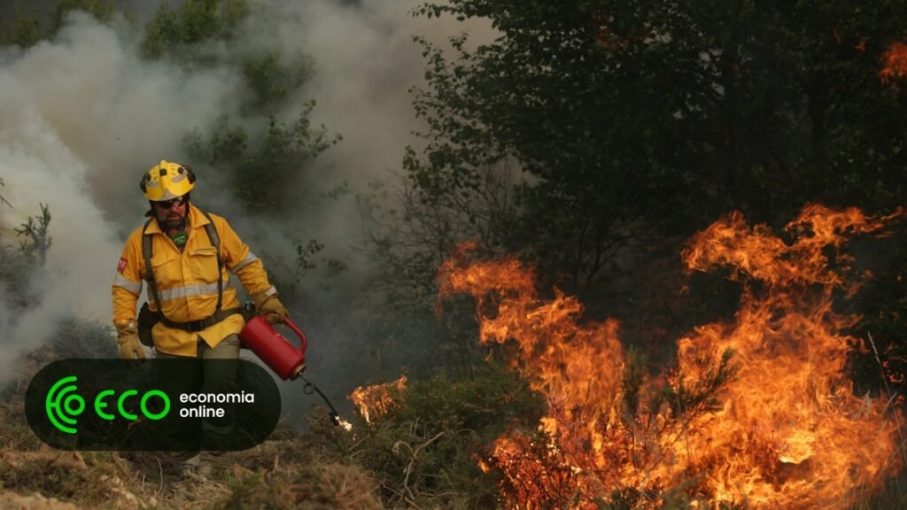 Governo paga até 360 euros por hectare em fogo controlado
