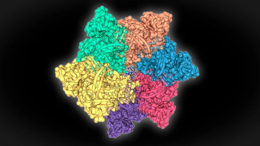 Proteínas ocultas nas profundezas do mar podem potencializar testes de doenças