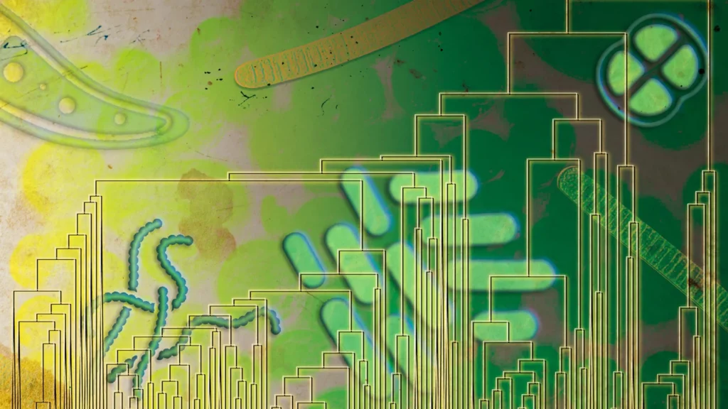 Microrganismos antigos podem ter usado oxigênio 500 milhões de anos antes de ele preencher a atmosfera da Terra