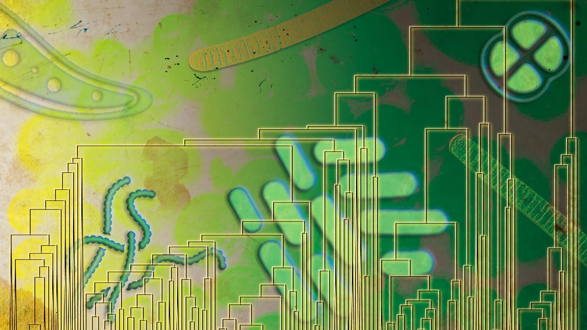 Microrganismos antigos podem ter usado oxigênio 500 milhões de anos antes de ele preencher a atmosfera da Terra