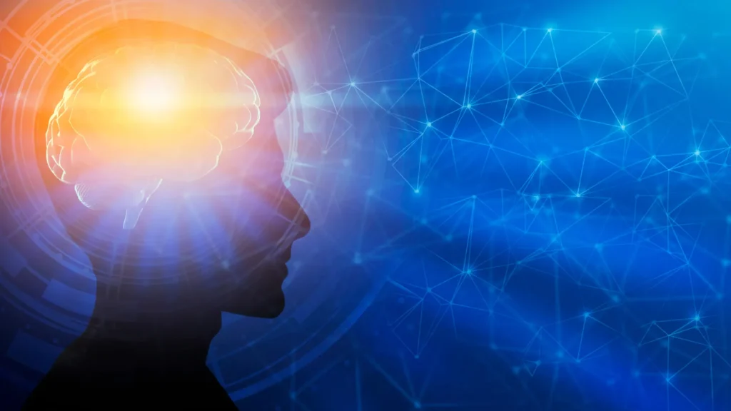 Desenvolvimento cerebral pode continuar até os 30 anos, novas pesquisas mostram