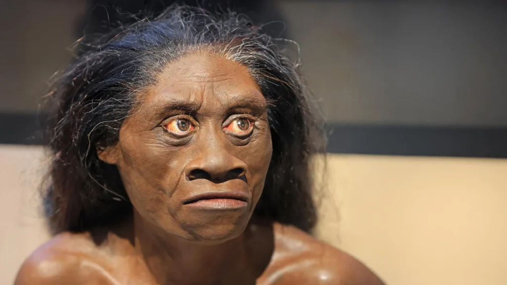 Uma seca antiga pode ter dizimado os hobbits da vida real há 61.000 anos
