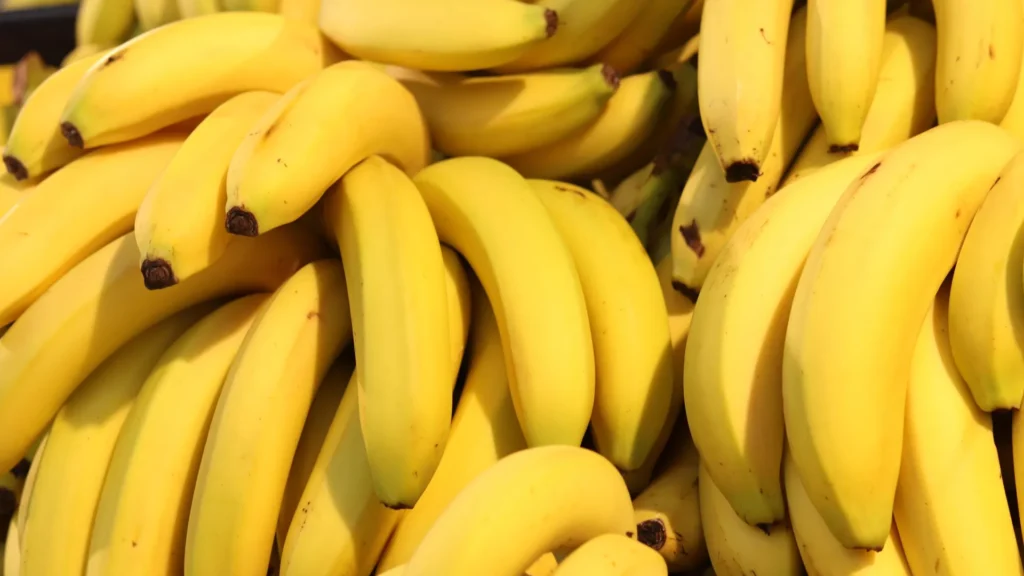 Metais tóxicos encontrados em bananas após desastre de mineração no Brasil