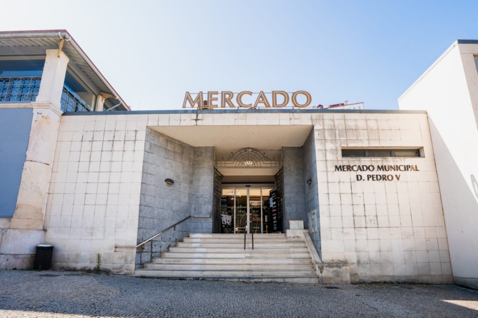 "Cantinho ConTacto: Encontros Interculturais no Mercado Municipal D. Pedro V"