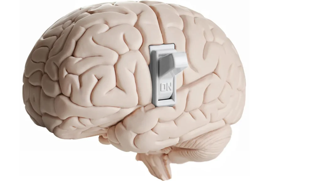 Cientistas descobrem interruptor oculto no cérebro que indica para parar de comer