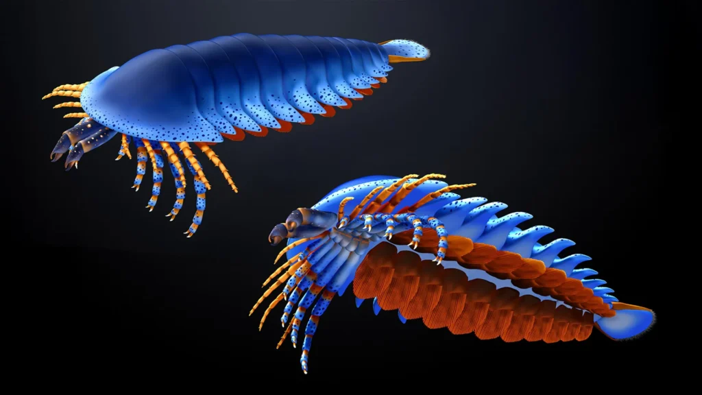 Esta pequena garra em um fóssil de 500 milhões de anos reescreveu a origem das aranhas