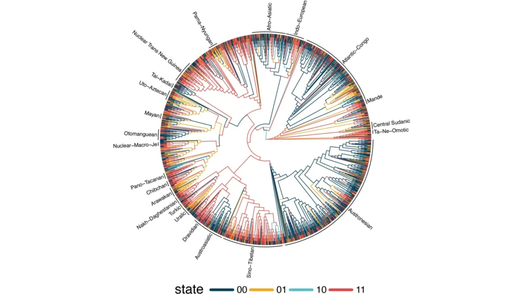 "Surprising Hidden Patterns in Portuguese Uncovered by Study of 1,700 Languages"