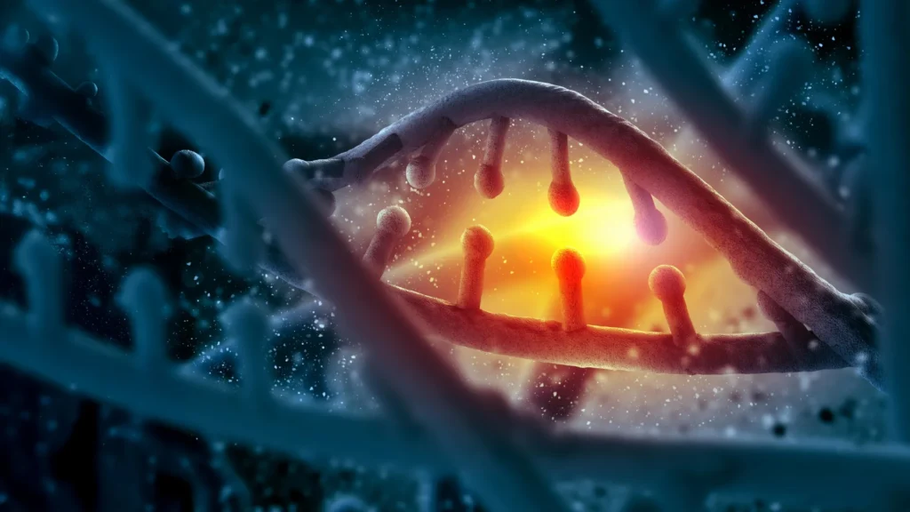 Cientistas descobrem "supergenes" no DNA que aceleram a evolução