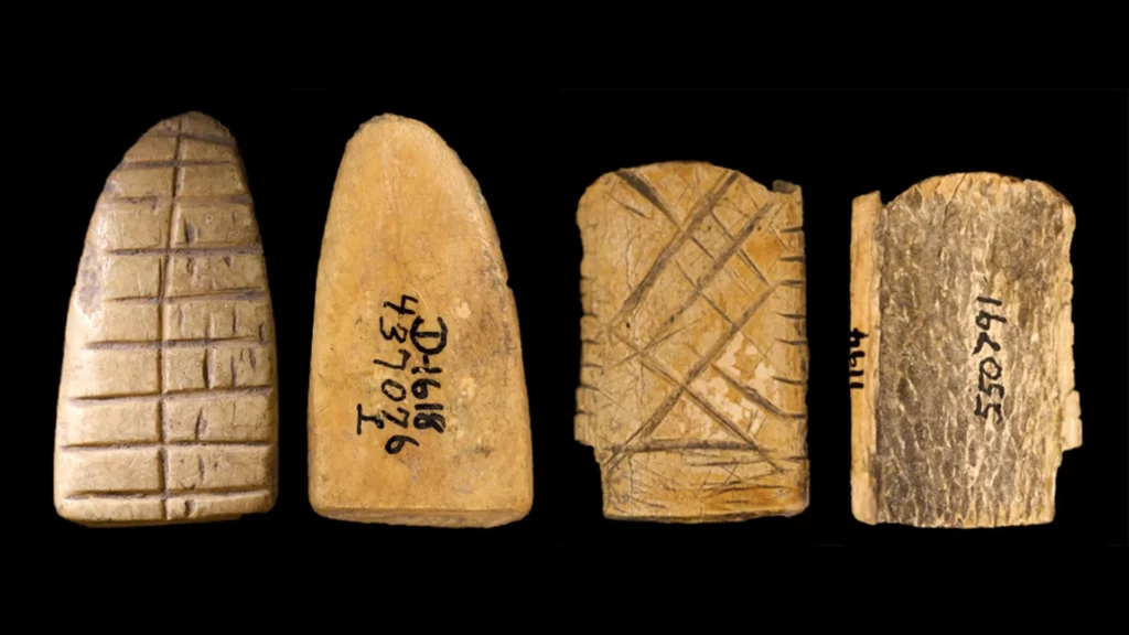 Dados de osso antigos revelam 12.000 anos de história do jogo na América
