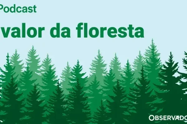 Floresta: Inovação e Crescimento