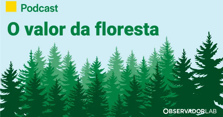 Floresta: Inovação e Crescimento