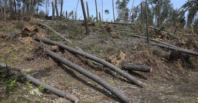 Proteção Civil Emitiu Alerta de Potencial Risco