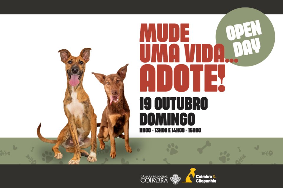 Canil Municipal promove "Dia de Portas Abertas" no próximo domingo