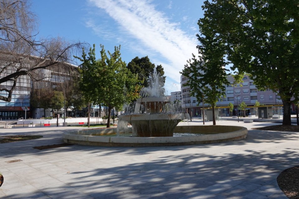 Coimbra ilumina-se de verde em apoio ao Dia Internacional da Síndrome de Phelan