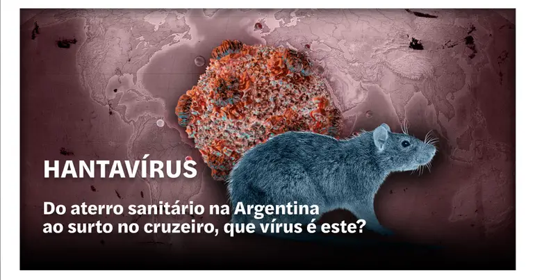 Hantavírus: da Argentina ao surto no cruzeiro, o que precisamos saber?