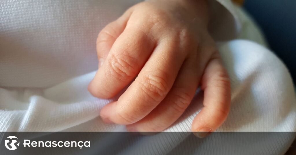 Há mais pequenos a surgir em Portugal e dados da fecundidade já superam os de 2023.