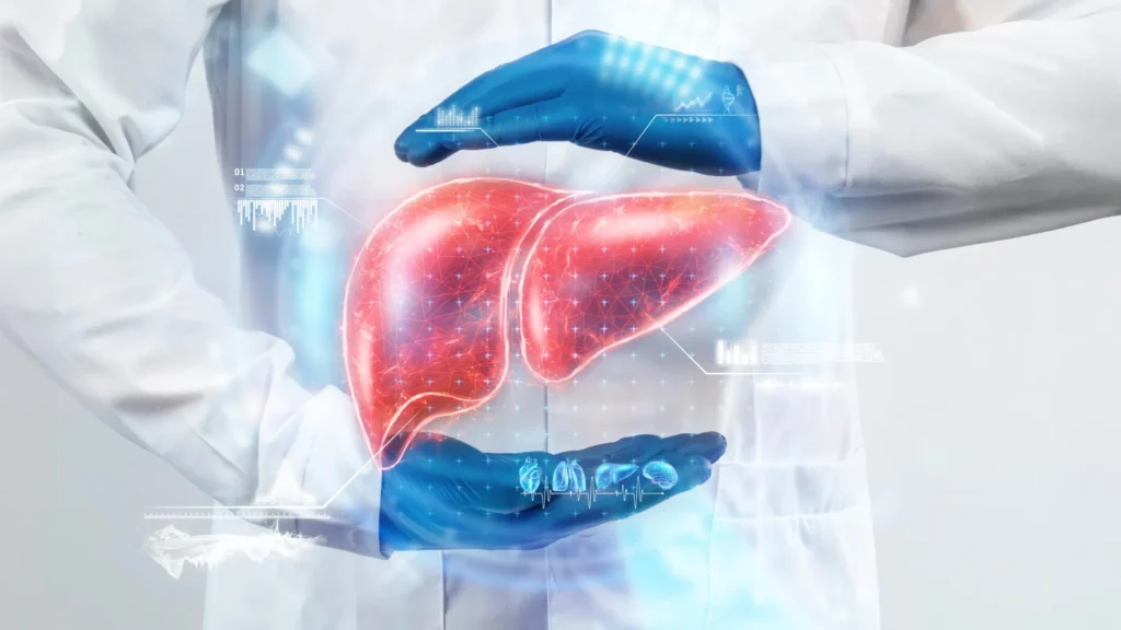 Cientistas reverteram o envelhecimento do fígado com bactérias intestinais jovens em um estudo surpreendente