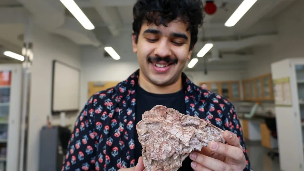 Um fóssil esmagado revelou um dinossauro que não deveria existir