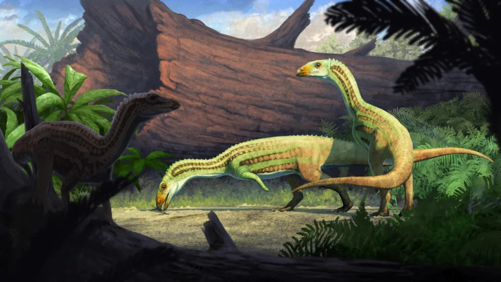 Este antigo parente do crocodilo cresceu com quatro patas e depois andou sobre duas.