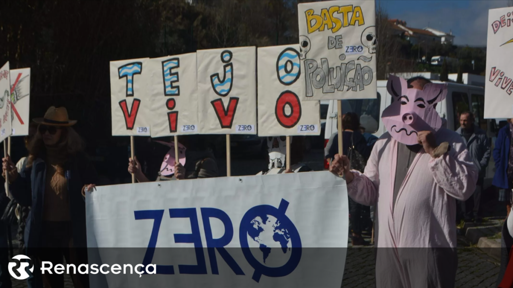 Organização ecológica critica Executivo por diminuir metas nas fontes limpas até 2030