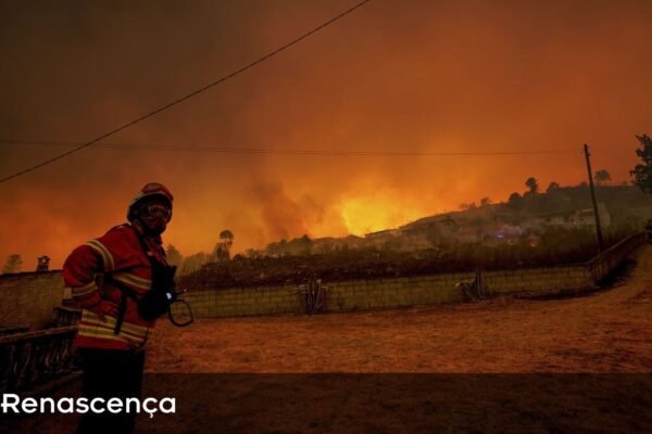 Fogueiras. IL critica Estado por agir com soluções temporárias e por não conseguir evitar