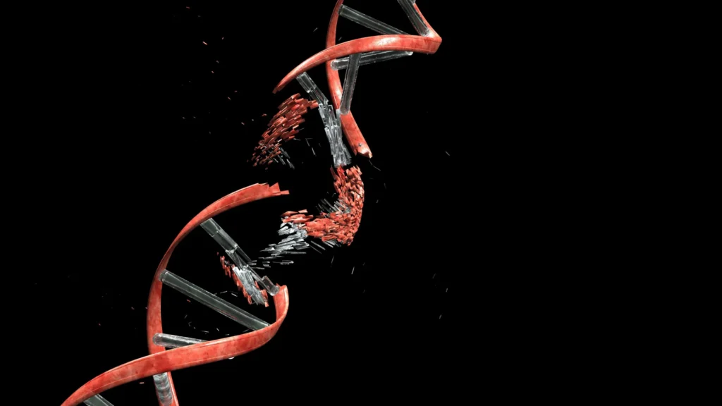 Cientistas descobrem que neurônios precisam romper seu DNA para construir o cérebro