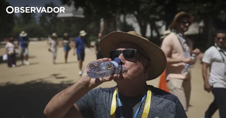 Bragança, Guarda e Vila Real em alerta laranja por calor: 30 concelhos em risco máximo de incêndio