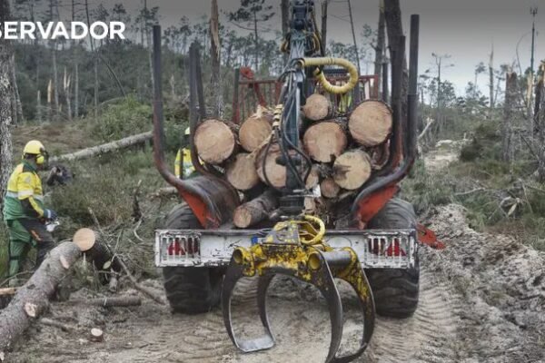 Prazo para limpeza de terrenos termina na terça