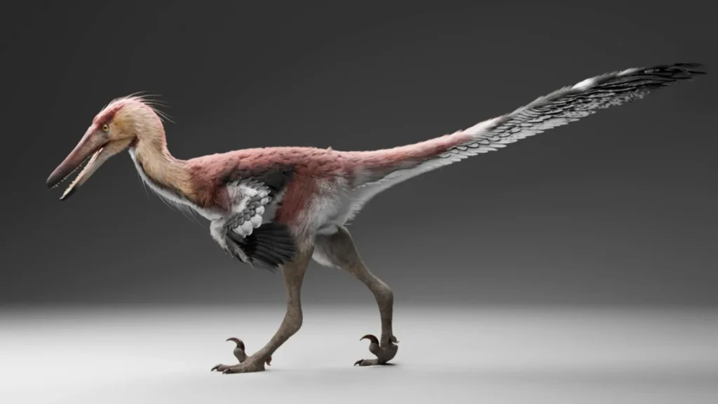 Este novo raptor recém