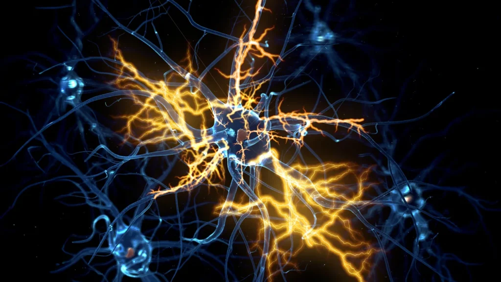 Organoides humanos revelam como reverter danos nervosos "irreversíveis"