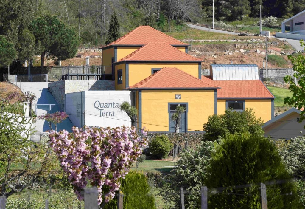Vencedores Regionais dos Prémios Best Of Wine Tourism 2026 Já Anunciados
