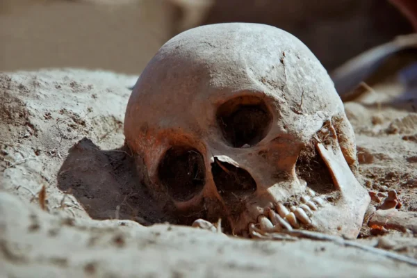 DNA antigo revela que a peste já matava humanos há 5.500 anos