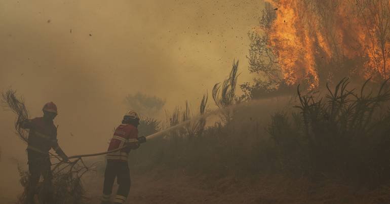 Mais de 80 concelhos em risco extremo de incêndio
