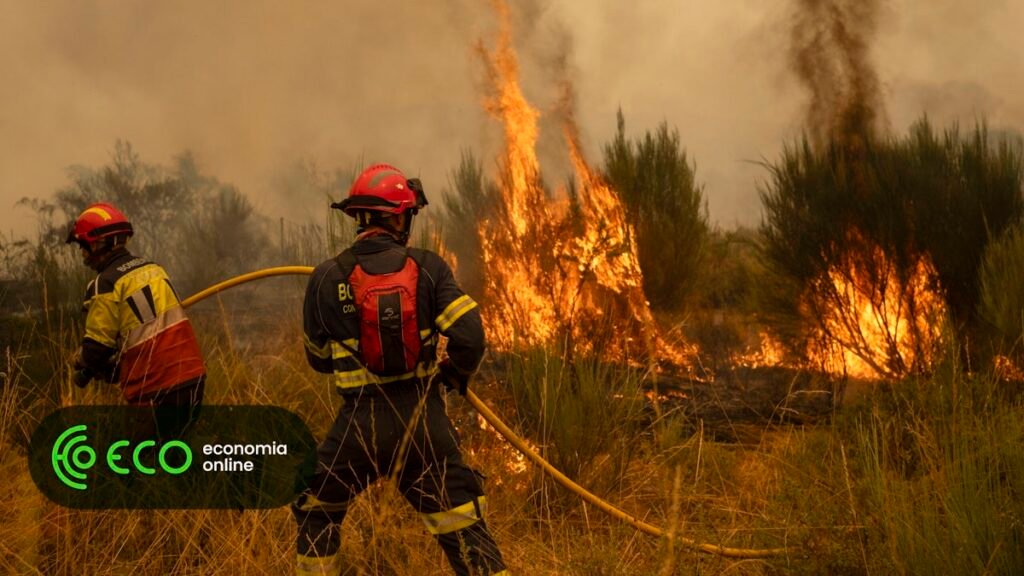 Governo destina 50 mil euros a bombeiros de concelhos afetados por incêndios