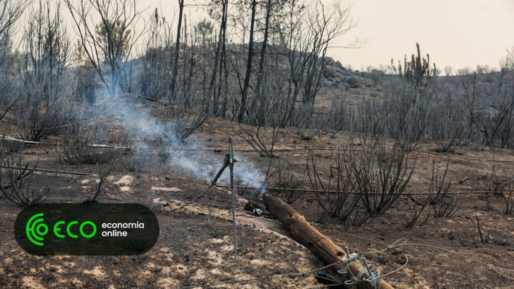 Seis casas de segunda habitação consumidas por incêndio em Seia