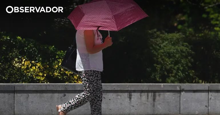 DGS Emite Recomendações para Proteger Populações nos Municípios