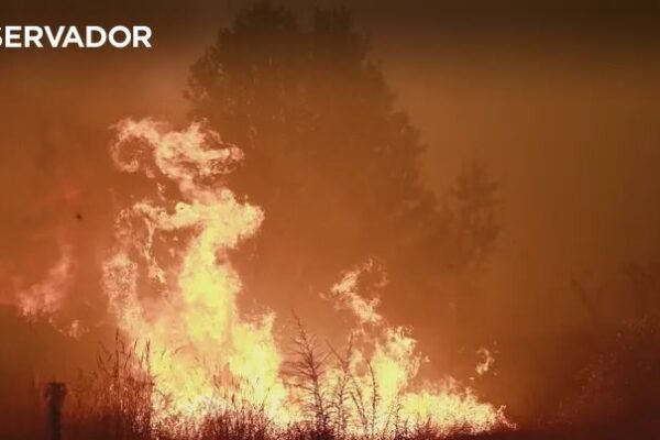 Centenas de concelhos em risco máximo de incêndio