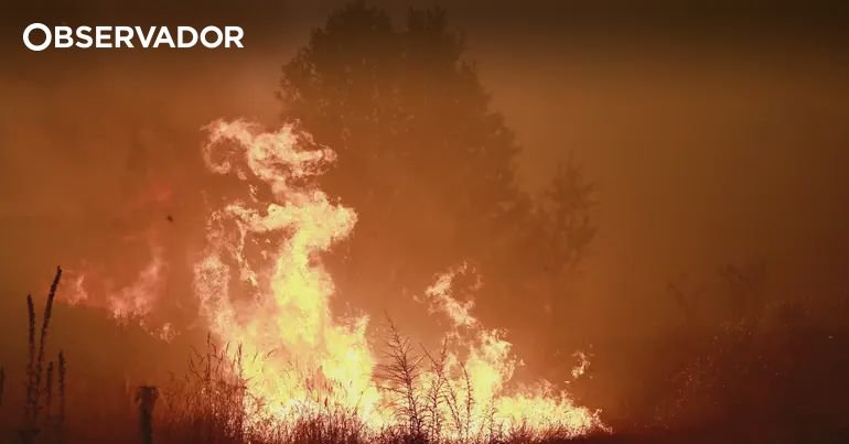 Centenas de concelhos em risco máximo de incêndio