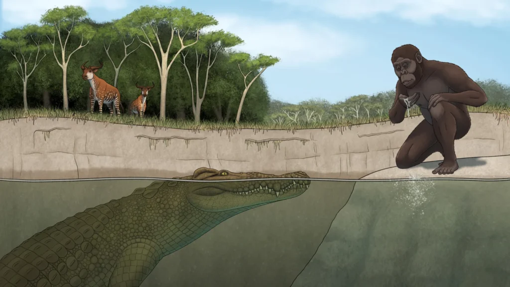 O caçador de Lucy revelado: Crocodilo gigante aterrorizou os primeiros ancestrais humanos